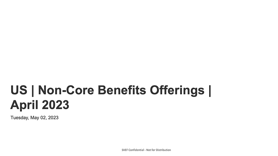 2023 US Non Core Benefits Offerings