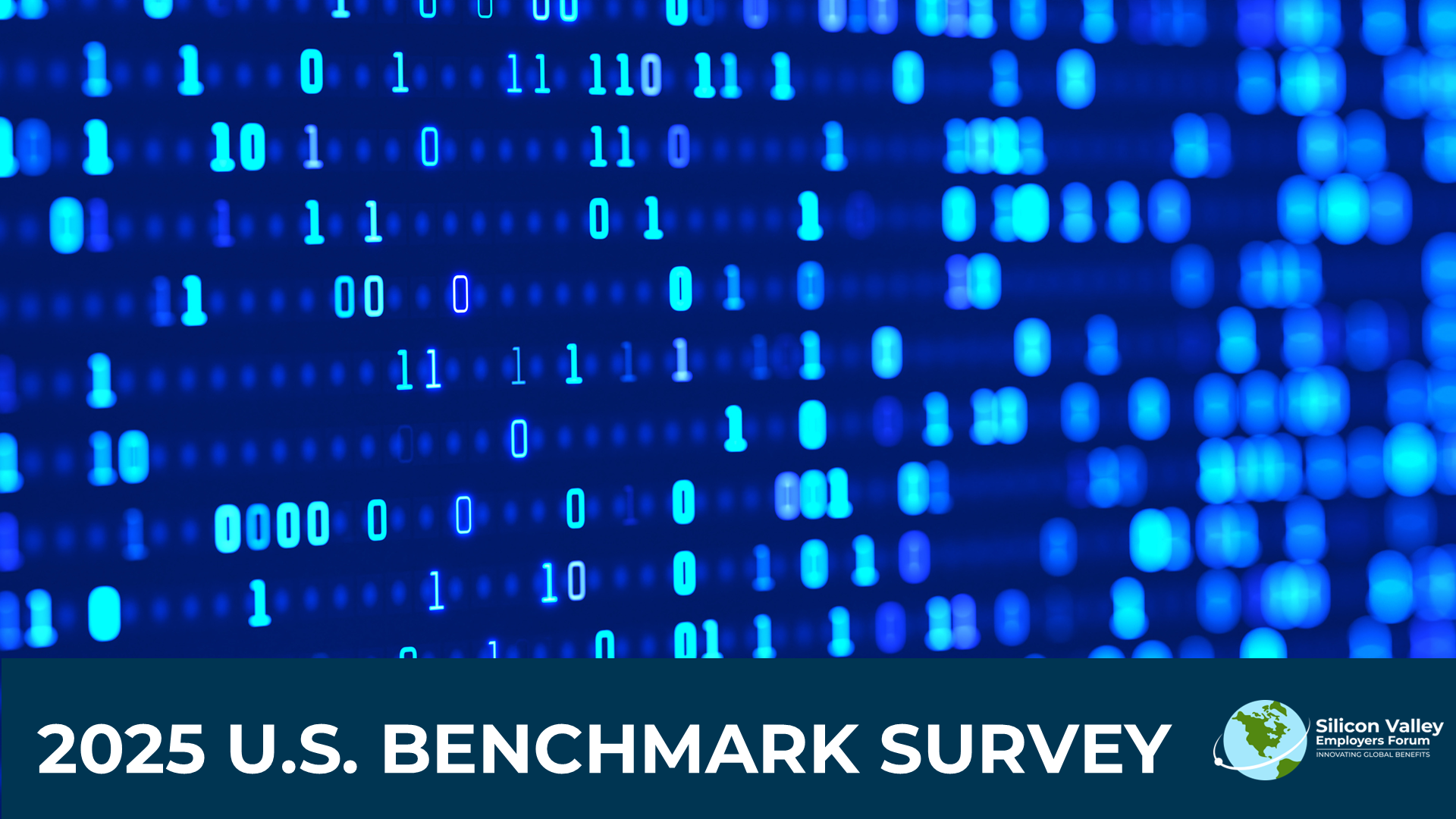 2025 US Benchmark Survey website cover image